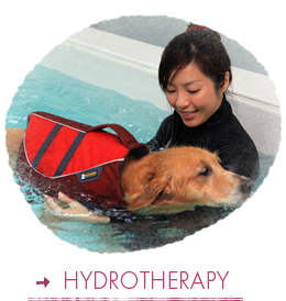 Hydrotherapy